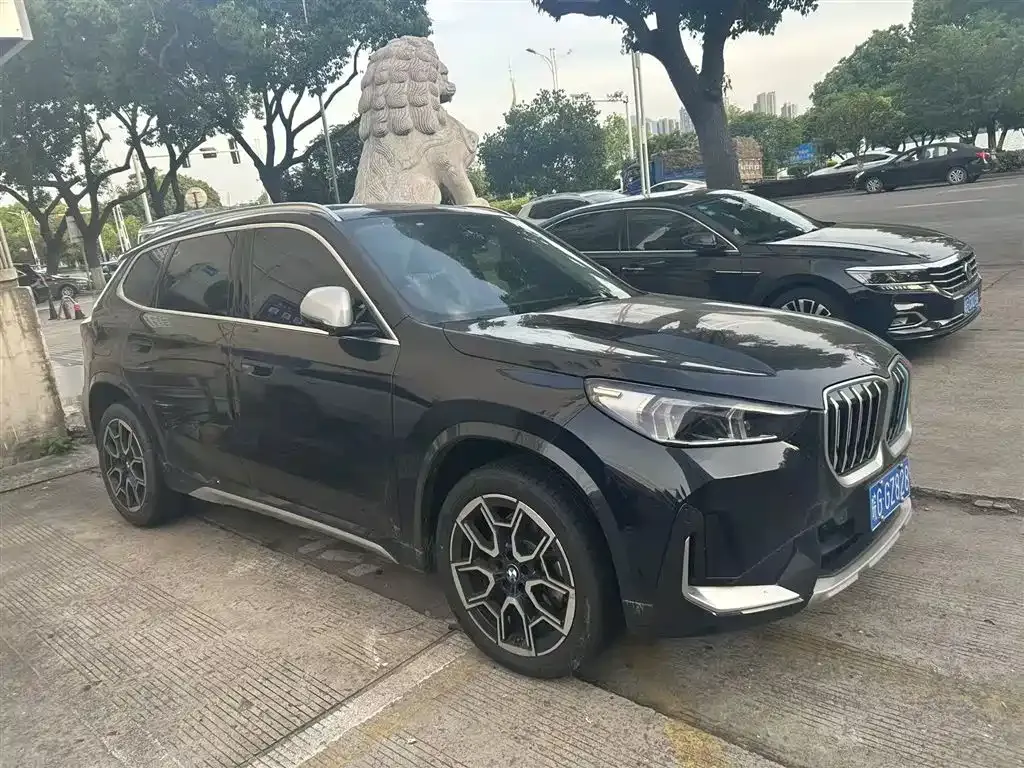 BMW X1 — фото 1