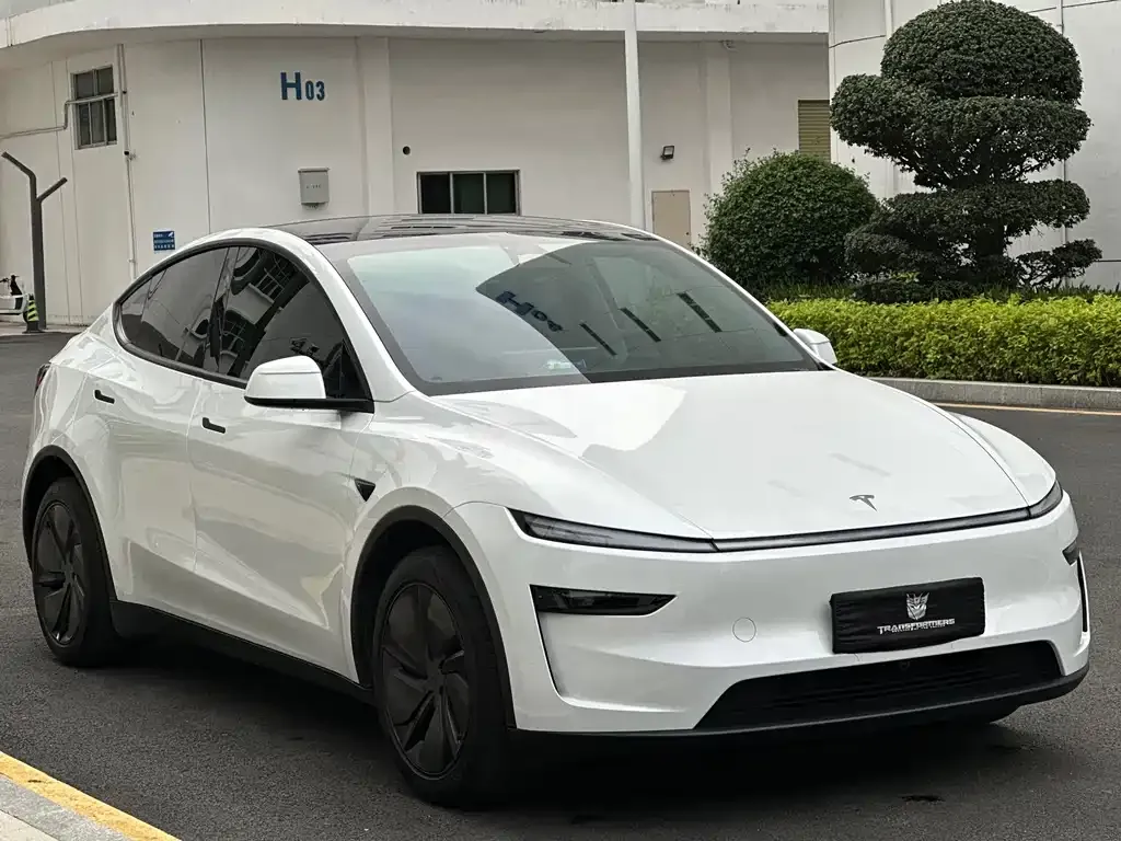 Tesla Model Y — фото 9