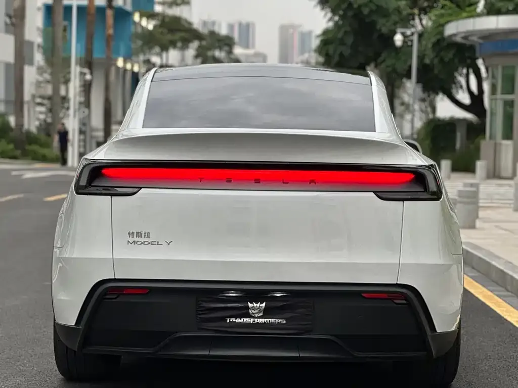 Tesla Model Y — фото 2