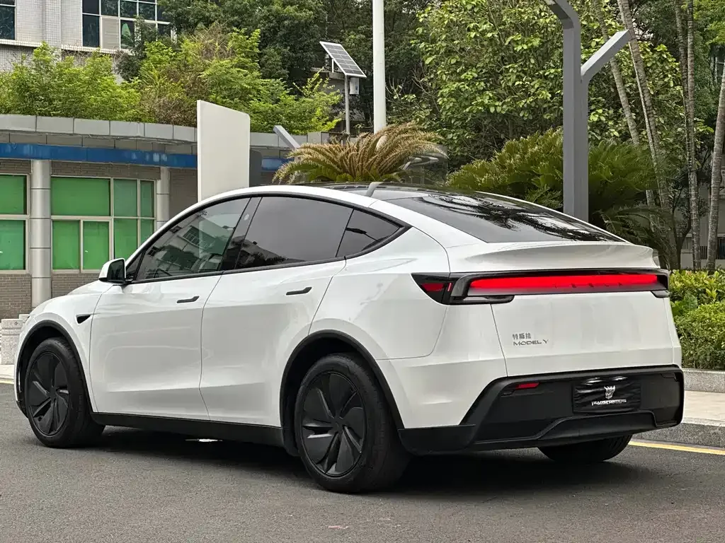 Tesla Model Y — фото 10