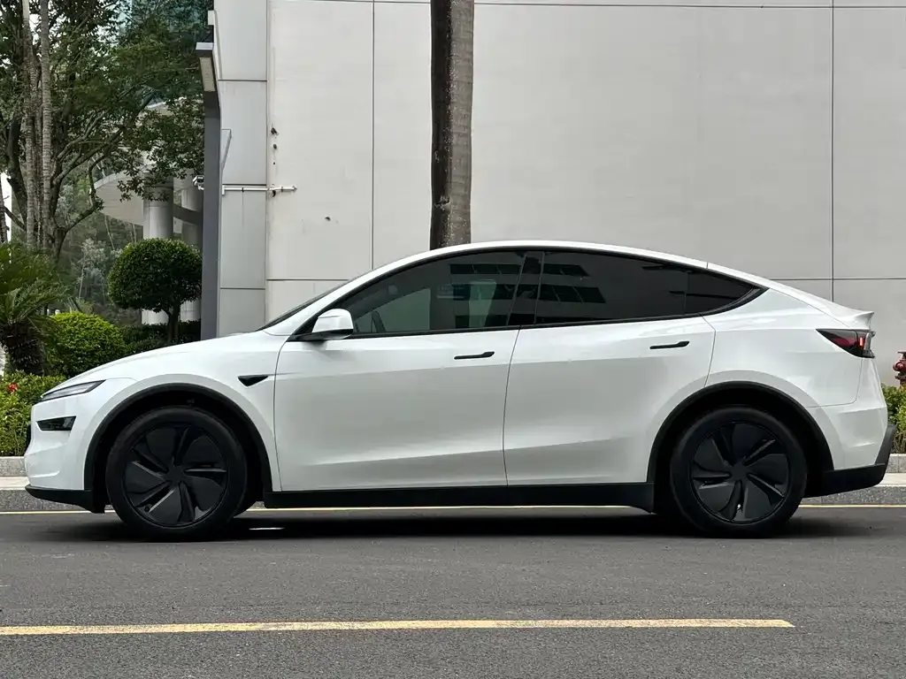 Tesla Model Y — фото 8