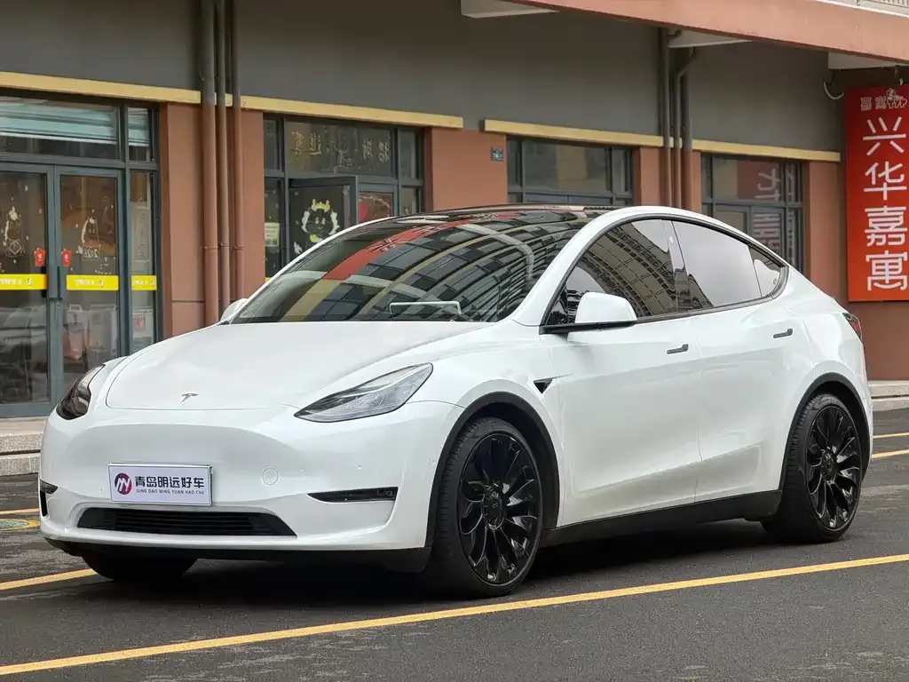 Tesla Model Y — фото 1