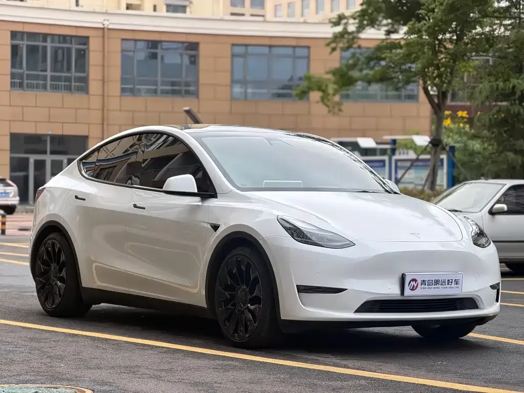 Tesla Model Y — фото 8