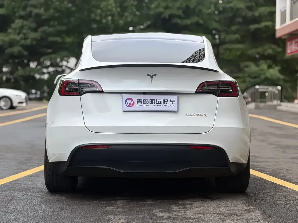Tesla Model Y — фото 10