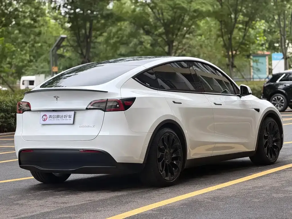 Tesla Model Y — фото 9