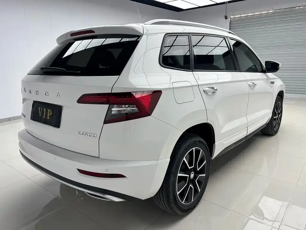 Skoda Karoq — фото 6