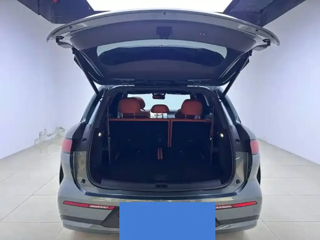 BYD Tang L 2025 из CN, фото 5
