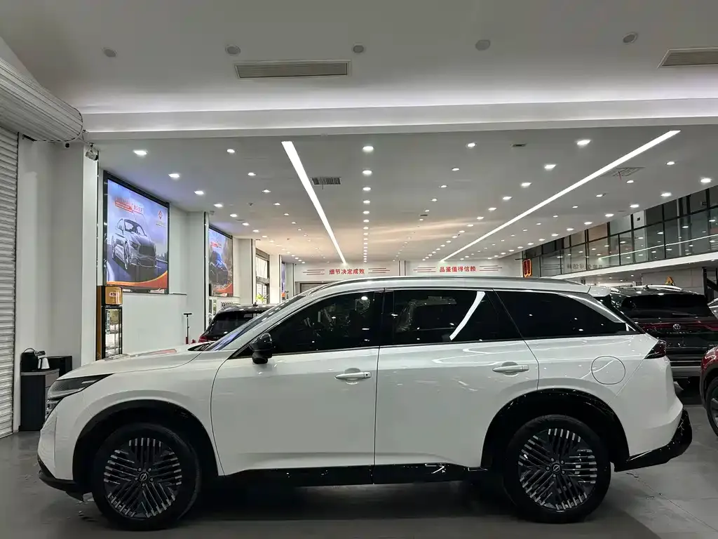 Nissan Teramont 2024 из CN, фото 9