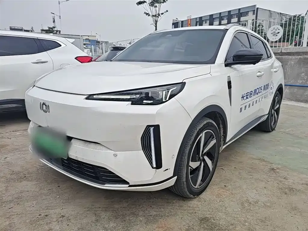 Qiyuan Q05 Classic 2023 из CN, фото 8