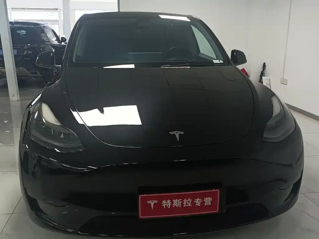 Tesla Model Y — фото 5