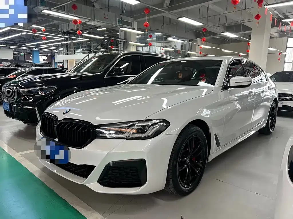 BMW 5 Series 2021 из CN, фото 1