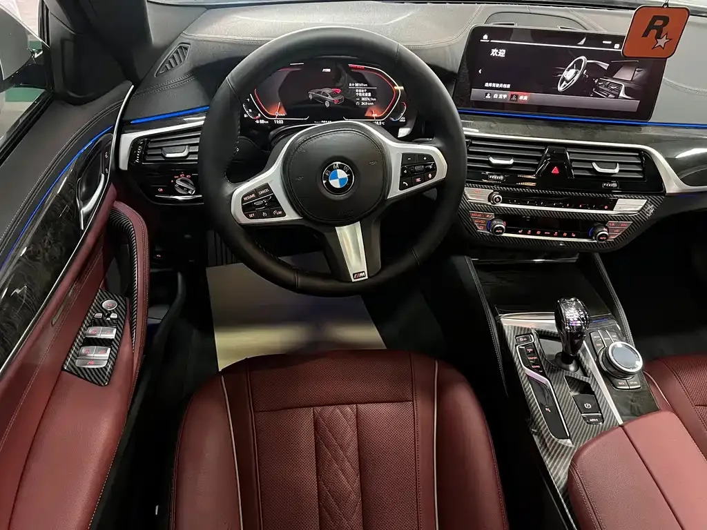 BMW 5 Series 2021 из CN, фото 6