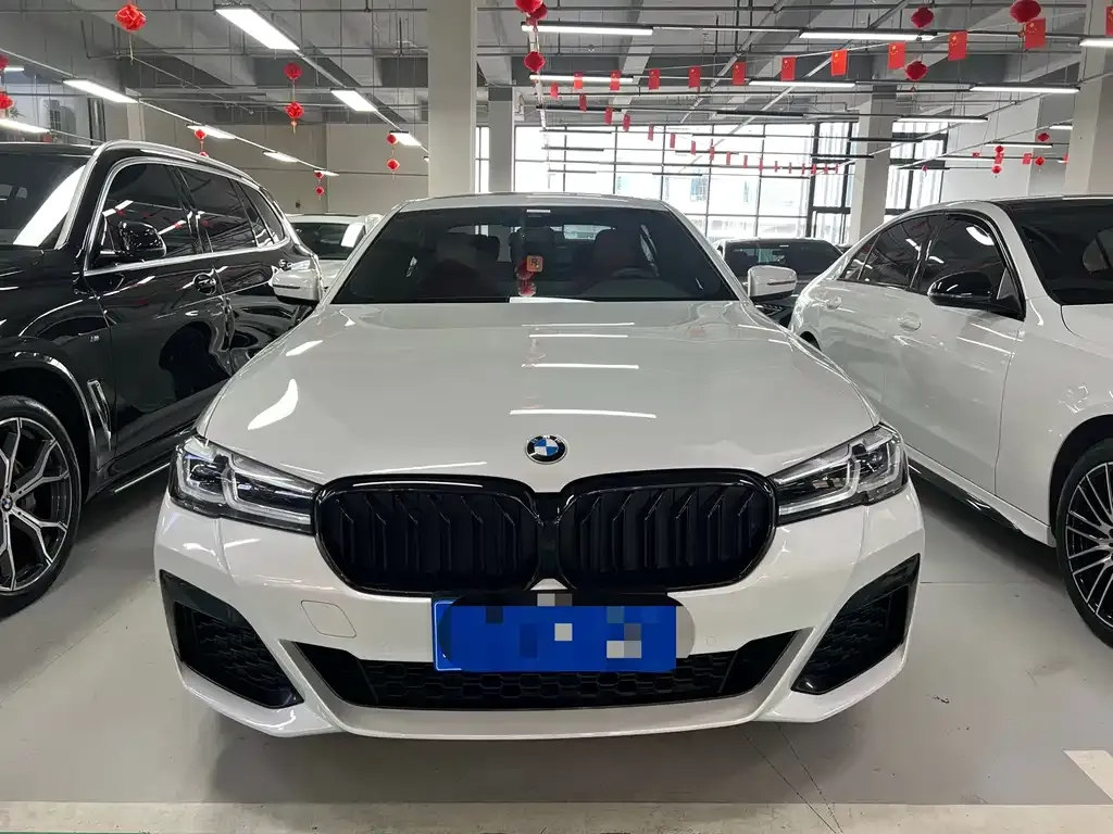 BMW 5 Series 2021 из CN, фото 4
