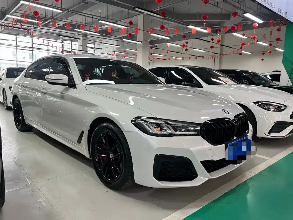 BMW 5 Series 2021 из CN, фото 5