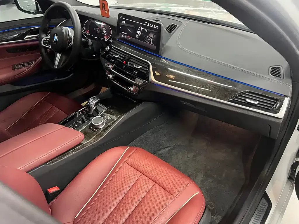 BMW 5 Series 2021 из CN, фото 8