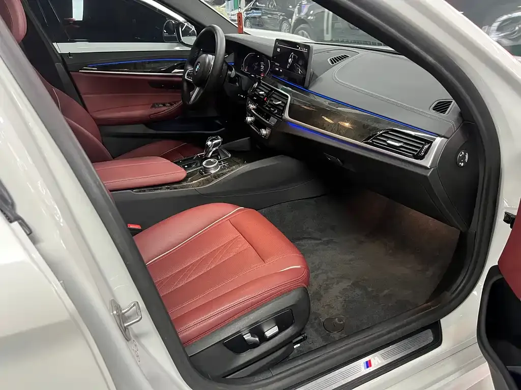 BMW 5 Series 2021 из CN, фото 10