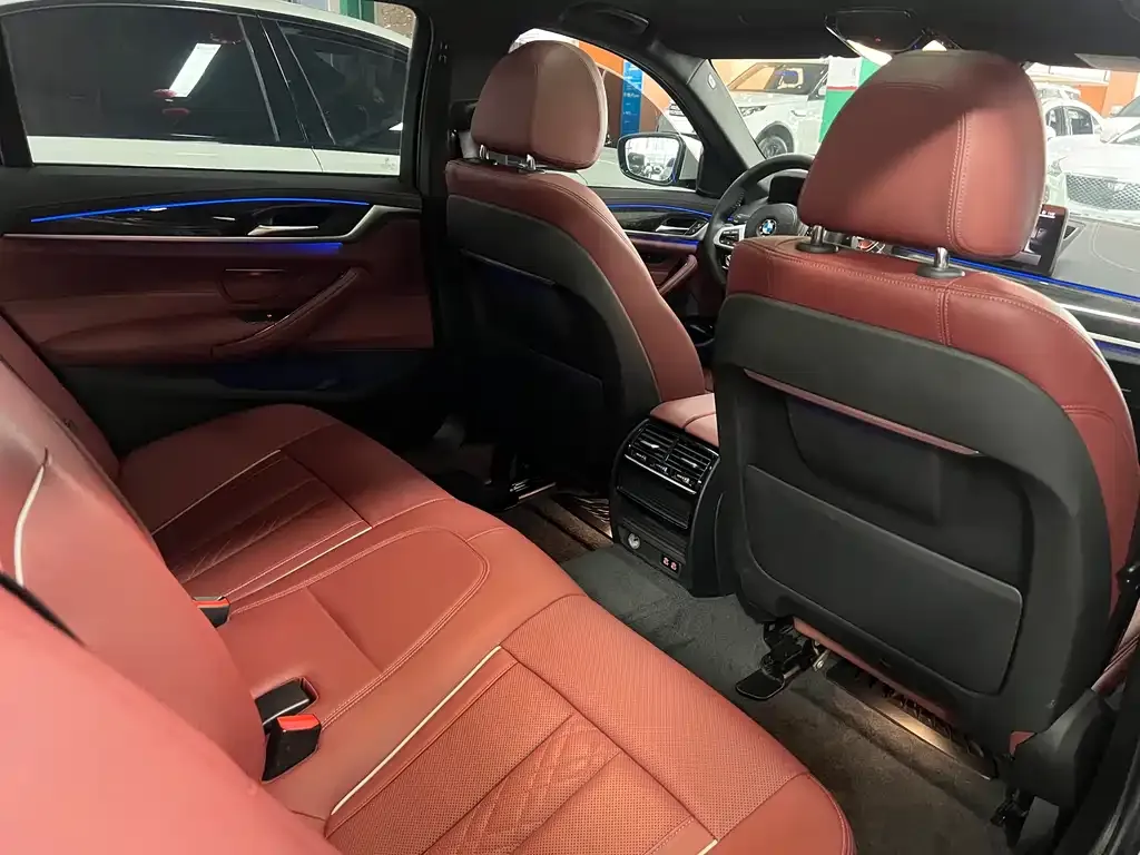 BMW 5 Series 2021 из CN, фото 3
