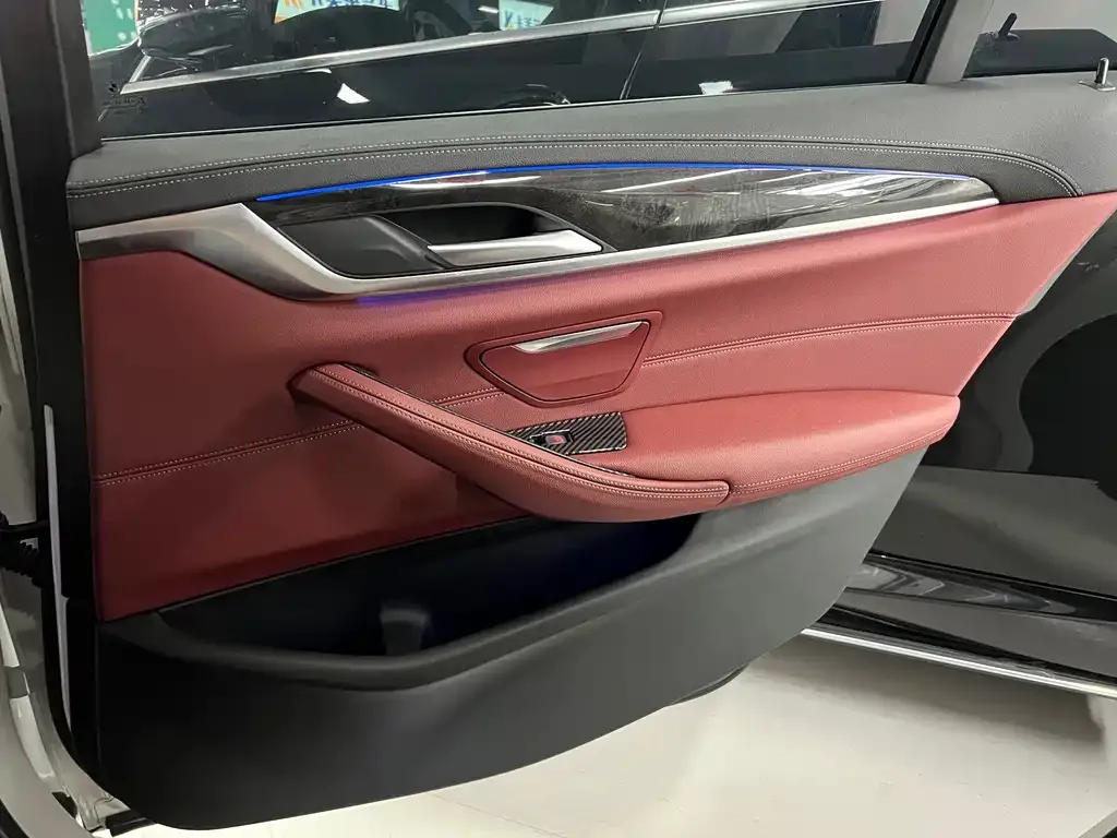 BMW 5 Series 2021 из CN, фото 7