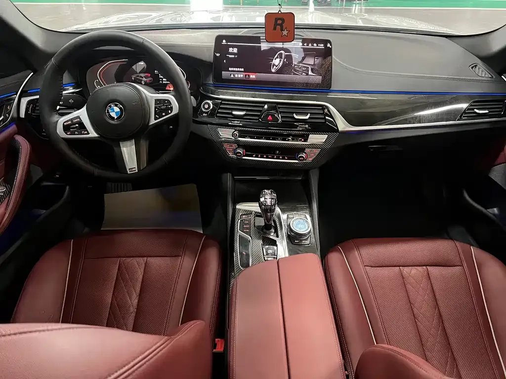 BMW 5 Series 2021 из CN, фото 9