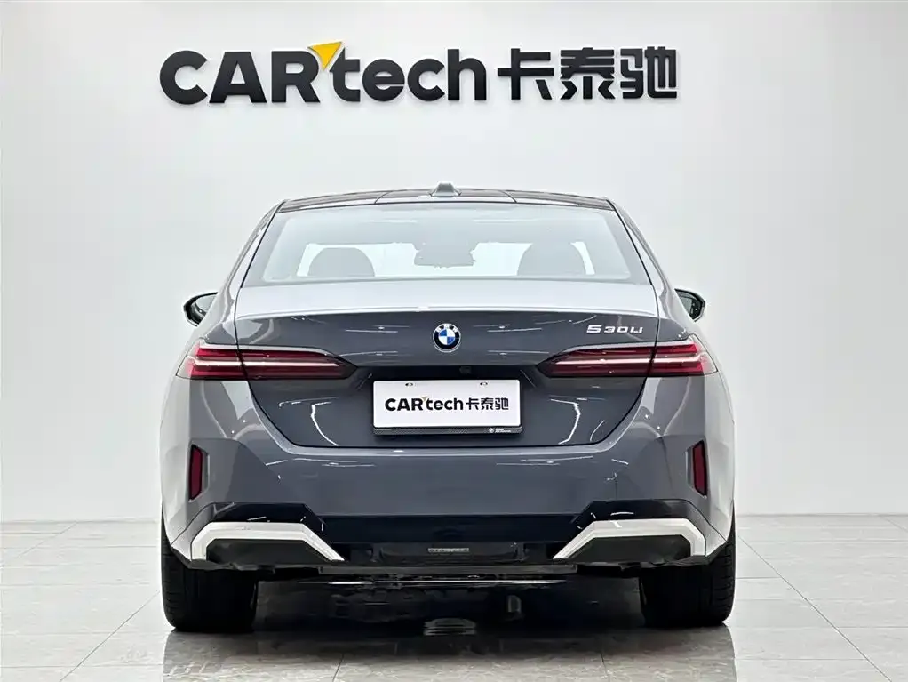 BMW 5 Series 2024 из CN, фото 7