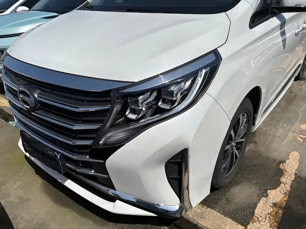 GAC Motor Trumpchi M8 2023 из CN, фото 8