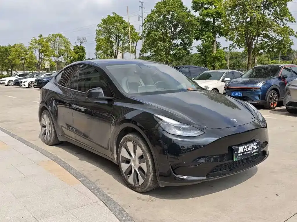 Tesla Model Y — фото 8