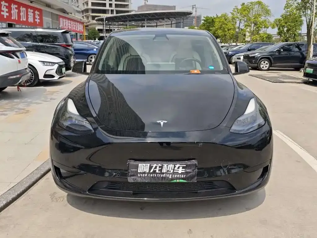 Tesla Model Y — фото 9