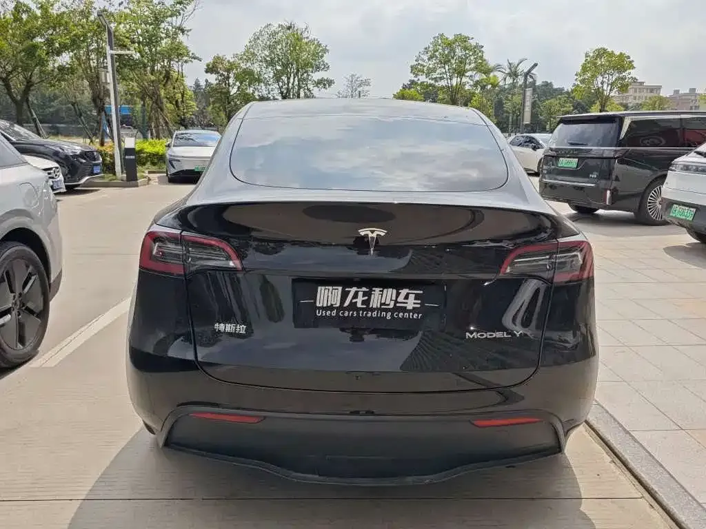 Tesla Model Y — фото 2