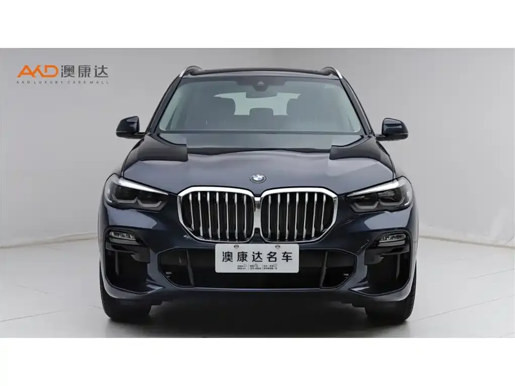 BMW X5 (Import) 2021 из CN, фото 7