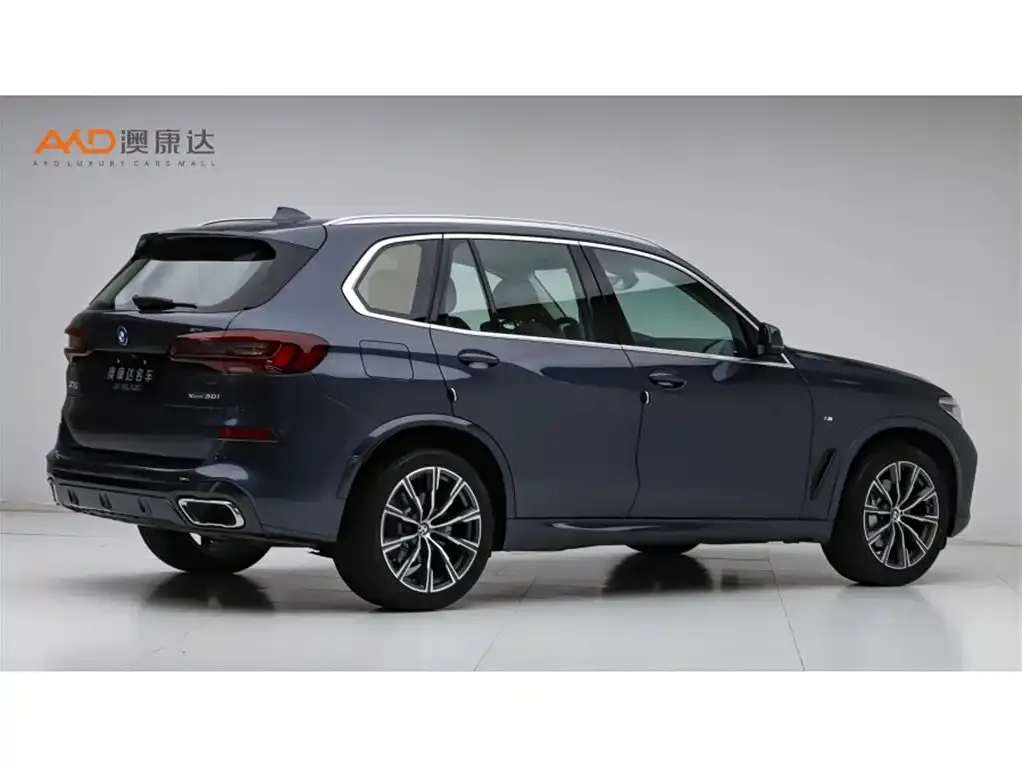 BMW X5 (Import) 2021 из CN, фото 5