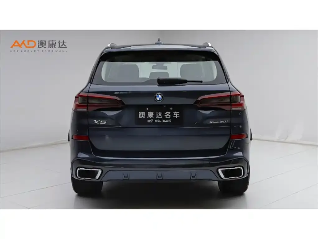 BMW X5 (Import) 2021 из CN, фото 8