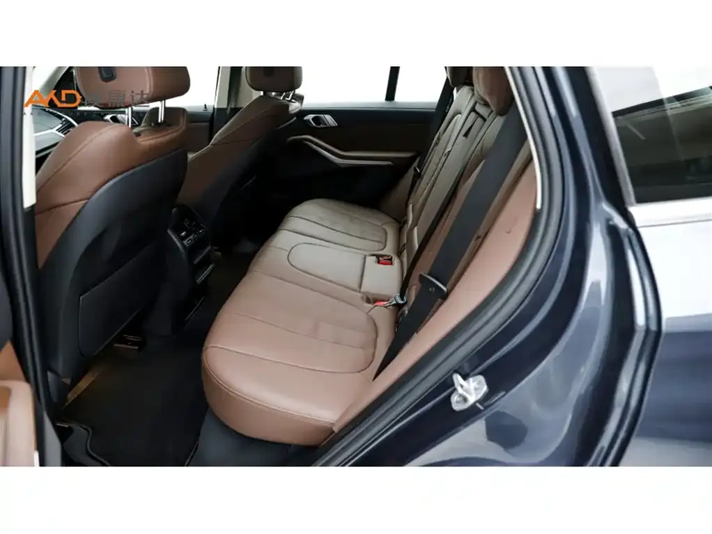BMW X5 (Import) 2021 из CN, фото 4