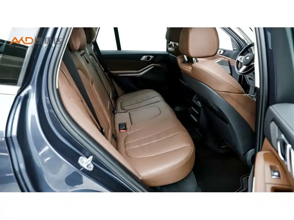 BMW X5 (Import) 2021 из CN, фото 9