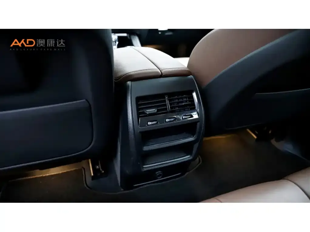 BMW X5 (Import) 2021 из CN, фото 3