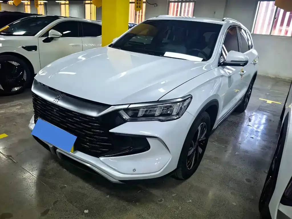 BYD Pro New Energy 2024 из CN, фото 1