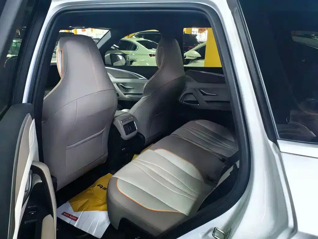 BYD Pro New Energy 2024 из CN, фото 3