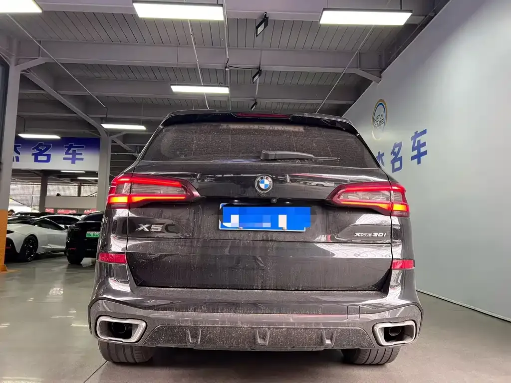 BMW X5 (Import) 2021 из CN, фото 4