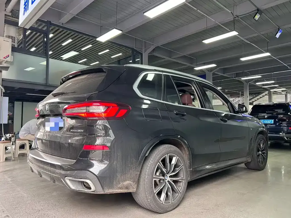 BMW X5 (Import) 2021 из CN, фото 9