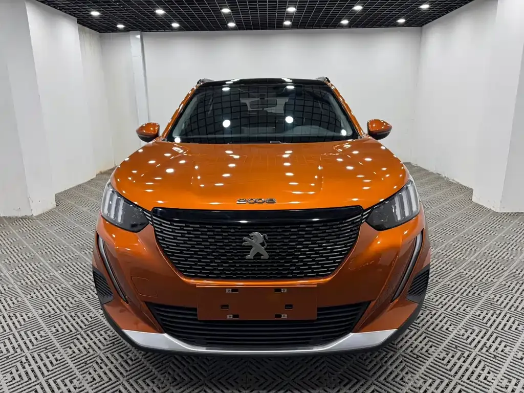 Peugeot 2008 2024 из CN, фото 5