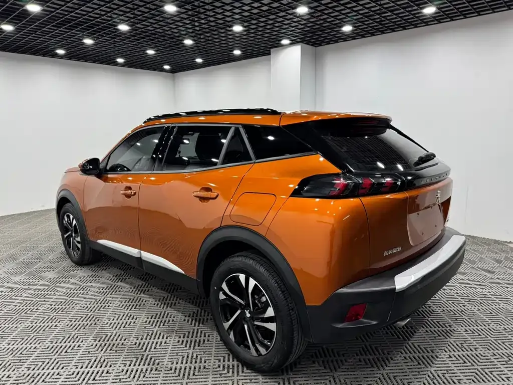 Peugeot 2008 2024 из CN, фото 7