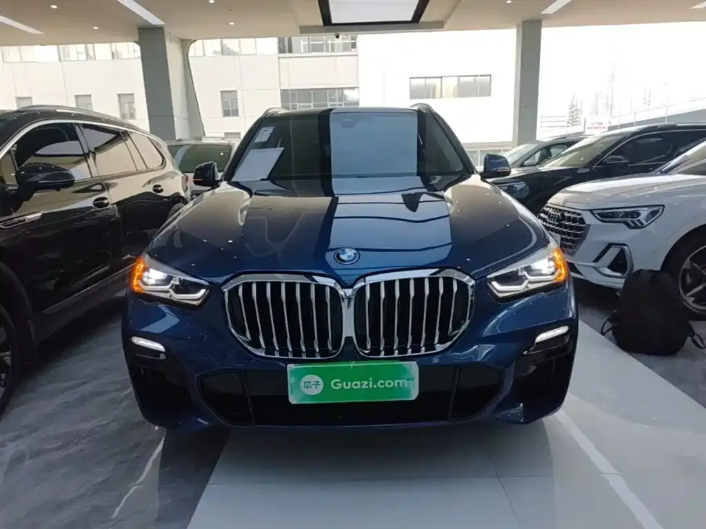 BMW X5 (Import) 2021 из CN, фото 5