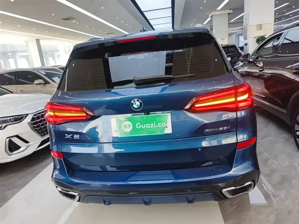 BMW X5 (Import) 2021 из CN, фото 10