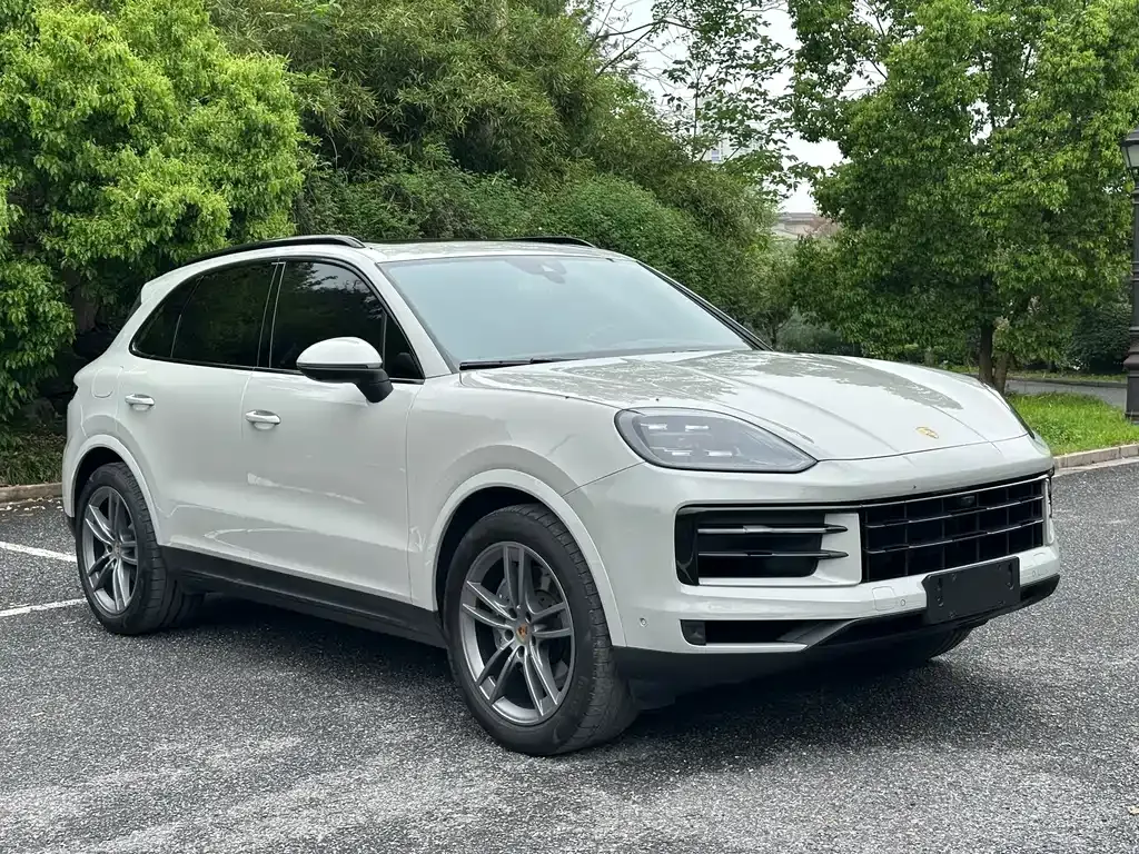 Porsche Cayenne — фото 10