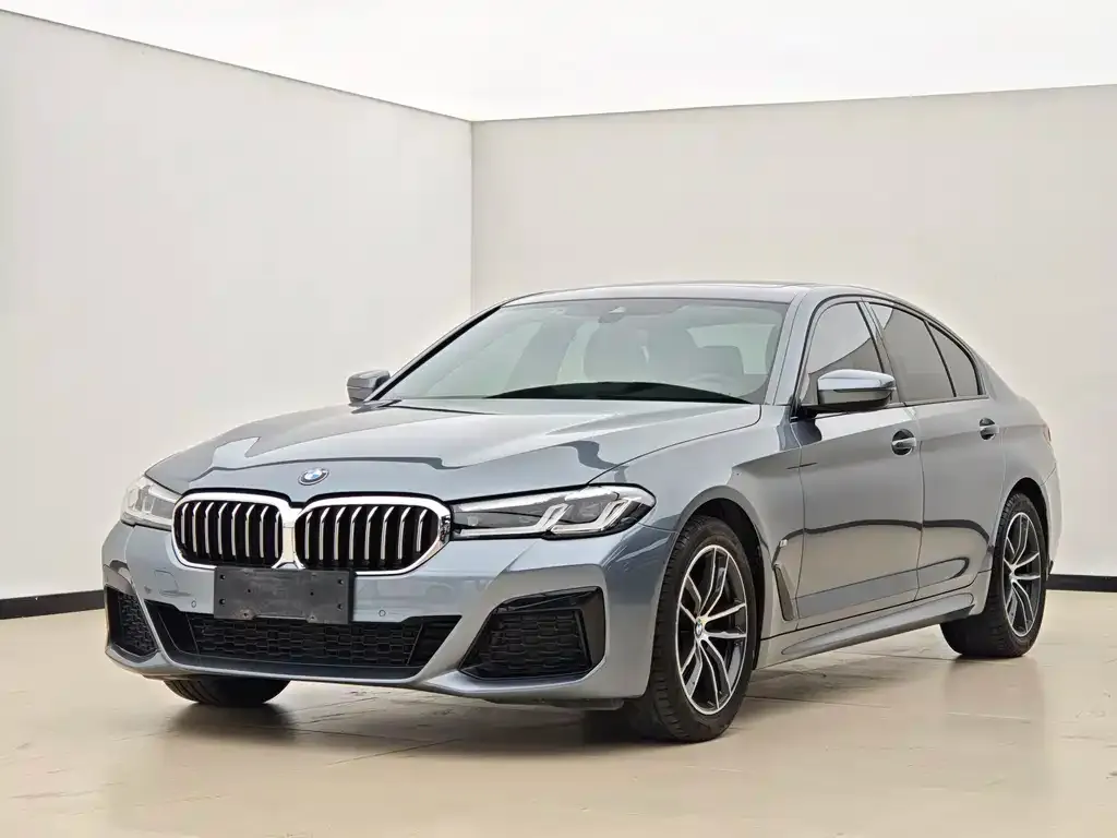BMW 5 Series (Import)