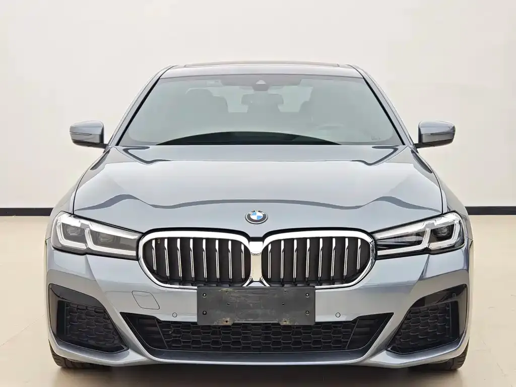 BMW 5 Series (Import) 2021 из CN, фото 10