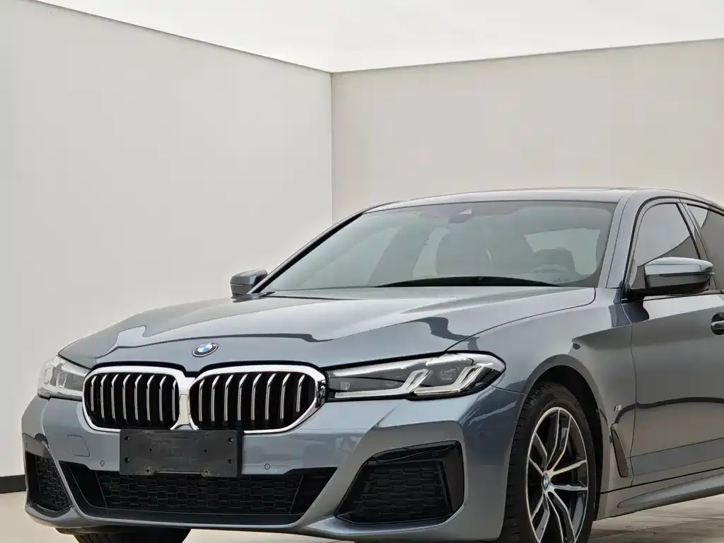 BMW 5 Series (Import) 2021 из CN, фото 9