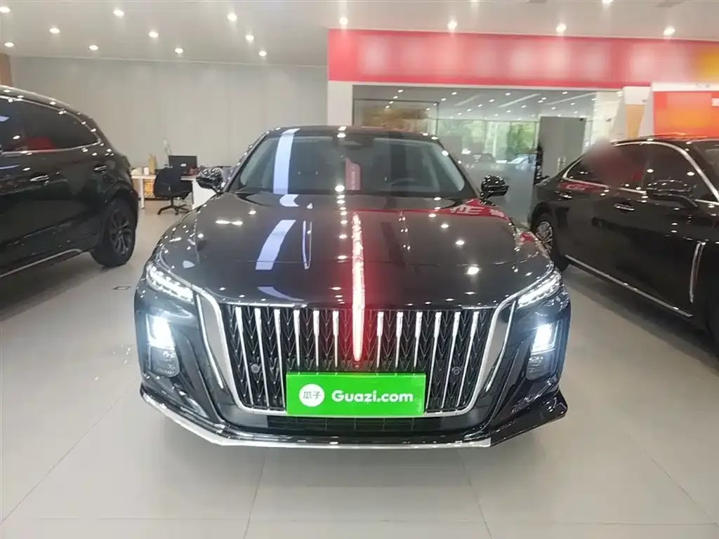 Hongqi H5 2023 из CN, фото 9