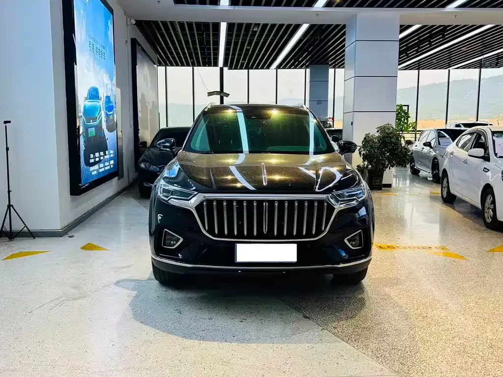 Hongqi HS5 2023 из CN, фото 9