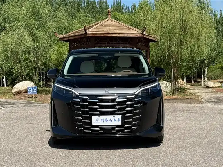 BYD Xia 2025 из CN, фото 10