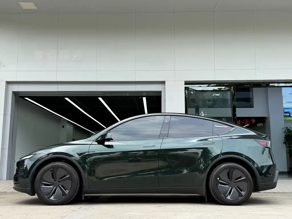 Tesla Model Y — фото 2